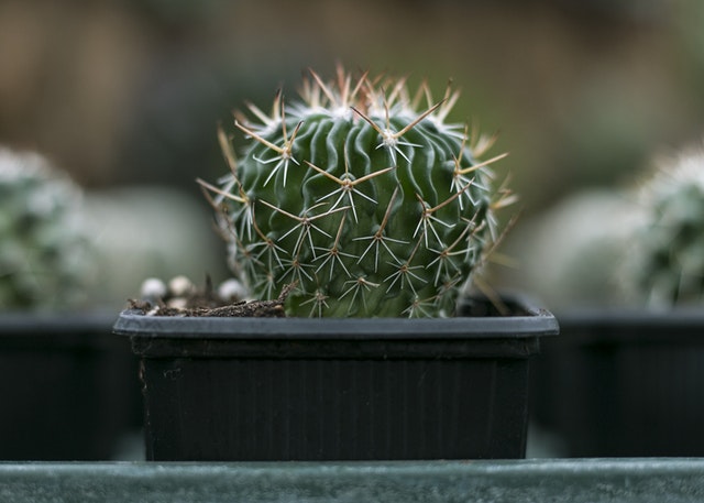 Spikes for Analysis